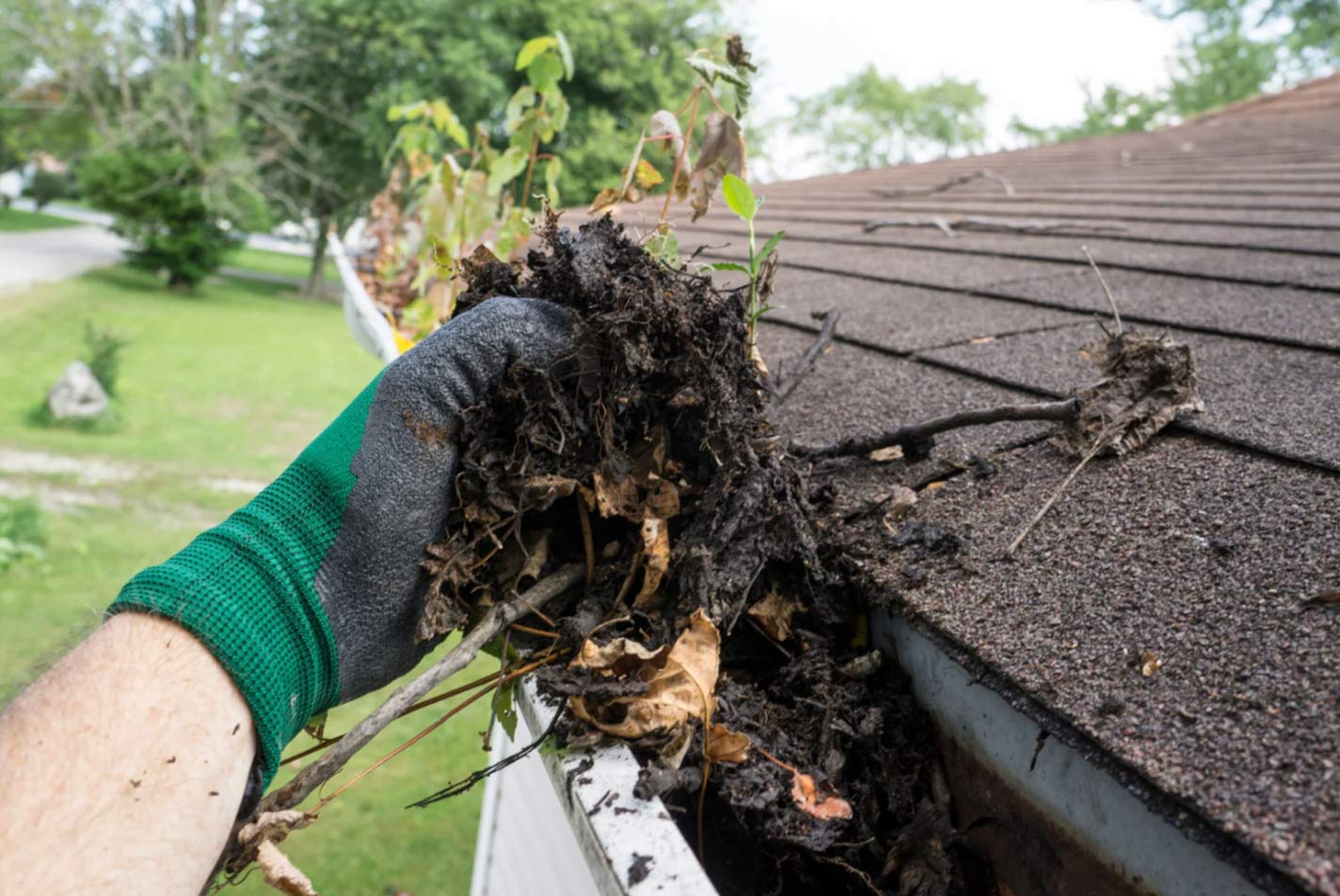 clean-1 A gloved hand removes wet leaves and debris from a house gutter on a roof.